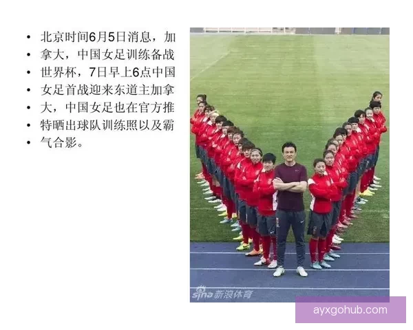 全面解读世界杯在线竞猜赔率变化规律与实战投注深度技巧指南