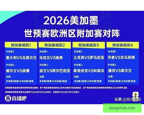 2026年世界杯赛程精彩回顾与全球足球盛宴全解析